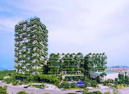 海口碧桂园爆料案件最新,揭秘背后真相与争议